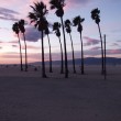 Venice Beach (California), vivila! A cura di Tania Dellagiacoma