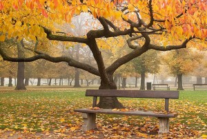 panchine nel mondo COPENHAGEN