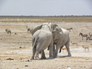 namibia