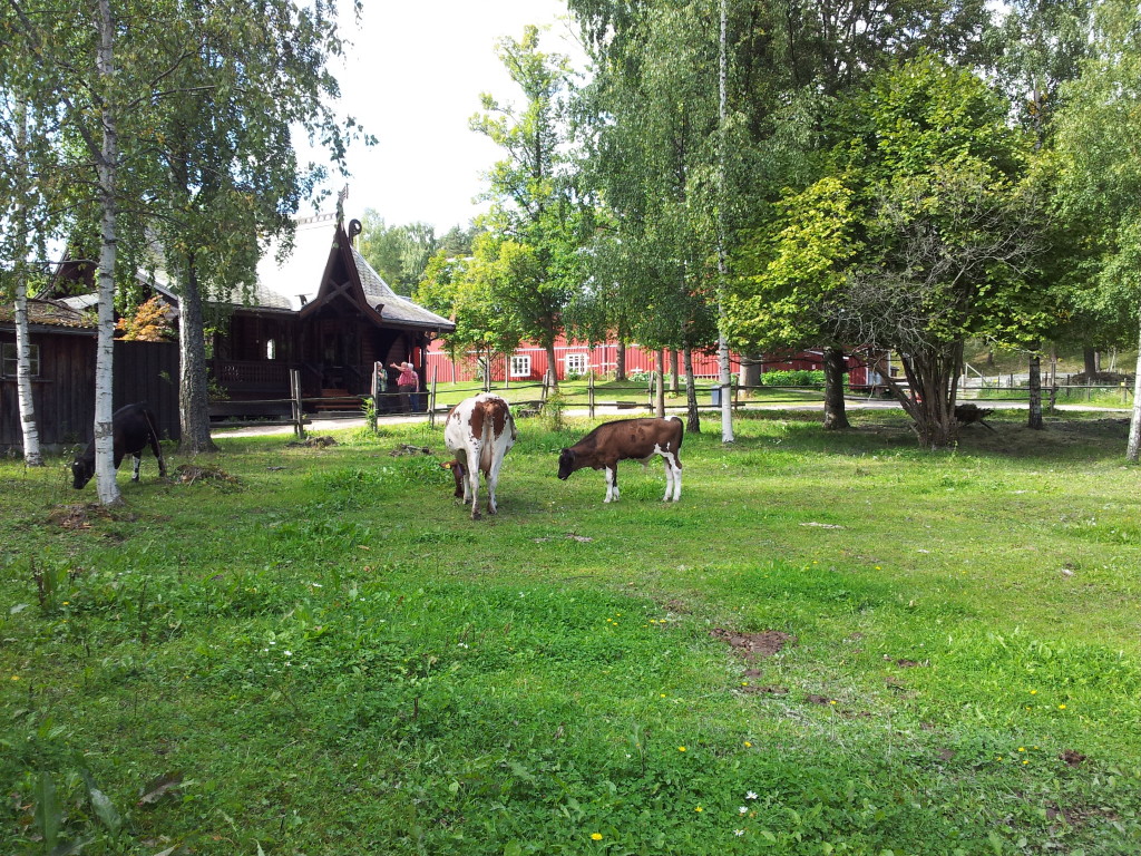 museo folklore